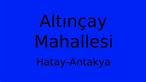 Altincay Halı ve Koltuk Yıkama