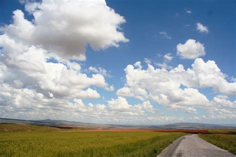 Altipinar Halı ve Koltuk Yıkama