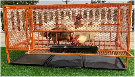 Aluzky Breeding Pull Out