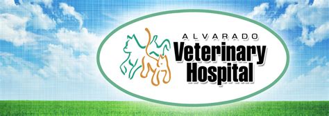 Alvarado vet. We have been using the Alvarado Vet Clinic for 5 years for our Warlock Doberman. He has had a couple of surgeries and we have also used them for boarding. The staff has always… 18. Animal Medical Clinic. Veterinary Clinics & Hospitals Veterinarians Veterinary Specialty Services (3) Website. 49. YEARS IN BUSINESS. Amenities: Wheelchair accessible … 
