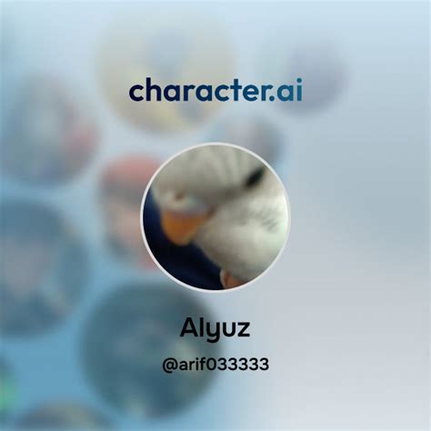 Alyuz Halı ve Koltuk Yıkama