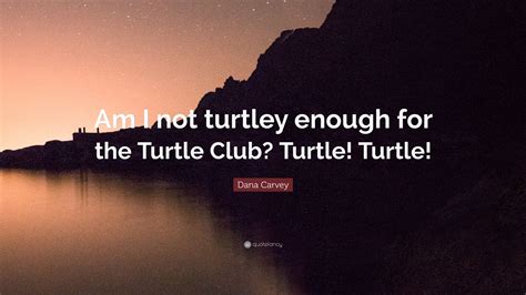 Am i not turtley enough. The Technodrome Forums > General Forums > Introductions: Am I not turtley enough for the Turtle Club? 