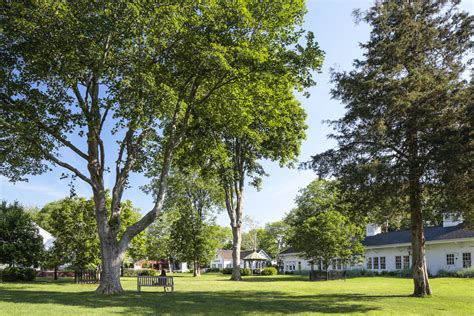 Amagansett Square