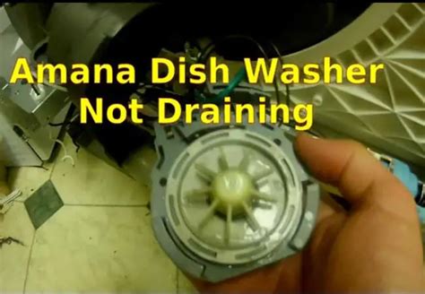 Amana dishwasher not draining. Common reasons why an Amana dishwasher may not be draining, include a blocked drain hose, clogged garbage disposal, blocked air gap, faulty drain pump, … 