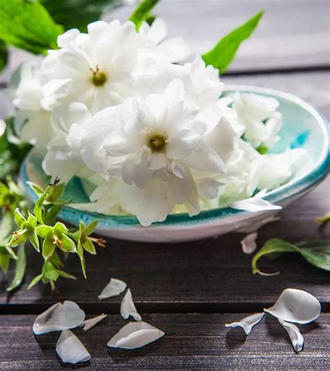 Amazing Benefits Of Arabian Jasmine For Skin, Hair, And Health - STYLECRAZE