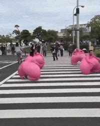 Amazing bouncing gifs.  Find Boucing Clips and GIFs with Sound that make your con...