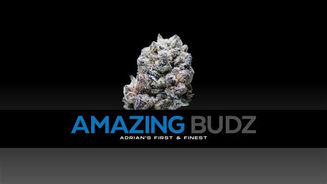 Amazing Budz- Recreational is a Medical and Recreational dispensary, 1 of 13 serving Adrian last seen at 1301 S Main Street in zip code 49221. We can't confirm if they are …. 