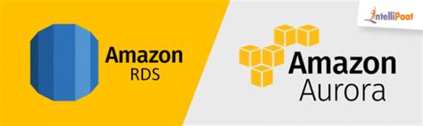 Amazon Aurora The Ultimate Step By Step Guide