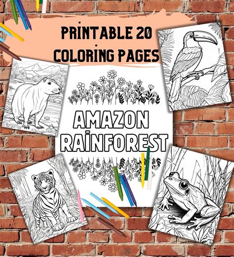 Amazon Coloring
