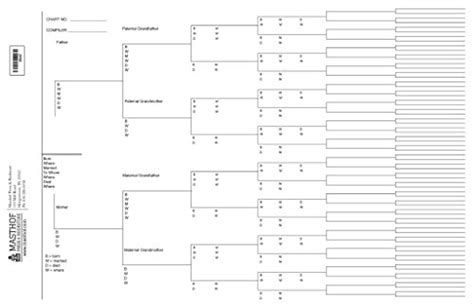 Amazon Com Seven Generation Ancestor Chart Office Products