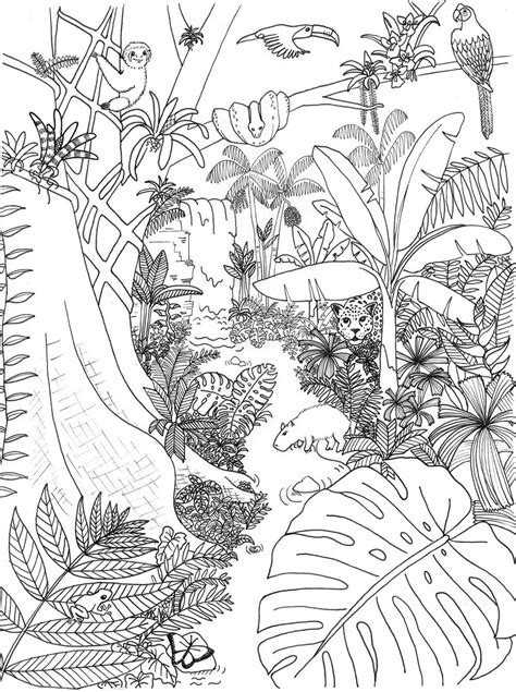 Amazon Jungle Coloring Pages