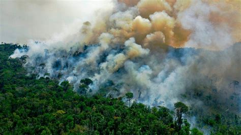 Amazon fires: Are they worse this year than before? - BBC News