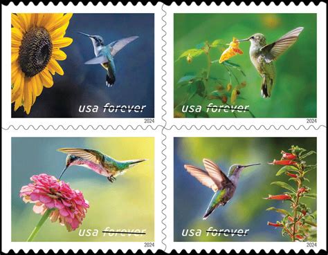 Amazon forever stamps.  Forever Stamps are USPS First Class postage stamps that can be ...