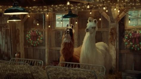 Amazon llama commercial song. We asked you to share your pump-up song, the one that gets you ready to crush it like the wild beast you are, and you delivered. We asked you to share your pump-up song, the one th... 