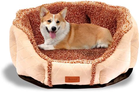 Amazon prime dog beds. Orthopedic Dog Beds for Medium Small Dogs, Washable Waterproof Dog Bed with Removable Cover, Egg Crate Foam Pet Bed, Dog Mattress,Kennel Pad 30 inch, 29"x18", Gray. 35. 100+ bought in past month. $2799 ($27.99/Count) Join Prime to buy this item at $22.39. FREE delivery Thu, Dec 14 on $35 of items shipped by Amazon. 