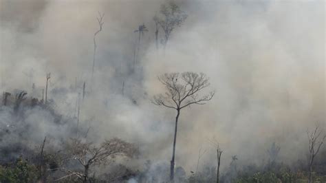 Amazon rainforest fire started by humans, environmentalists say …