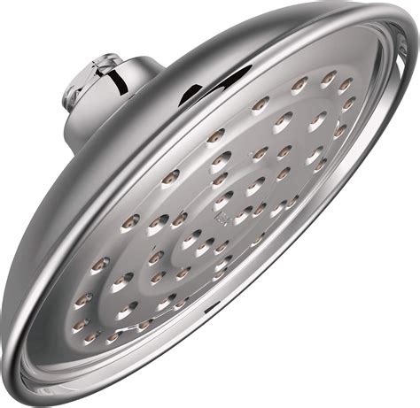 Amazon.ca: Moen Shower Head