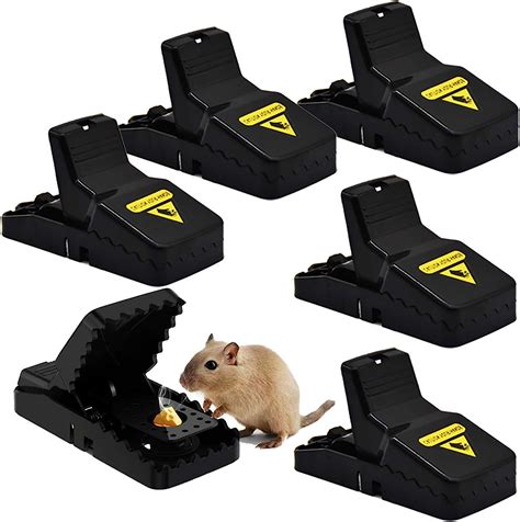 Amazon.co.uk: Mouse Friendly Trap