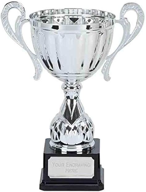 Amazon.co.uk: Pool Trophy