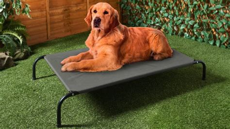 Amazon.co.uk: Sun Lounger For Dogs