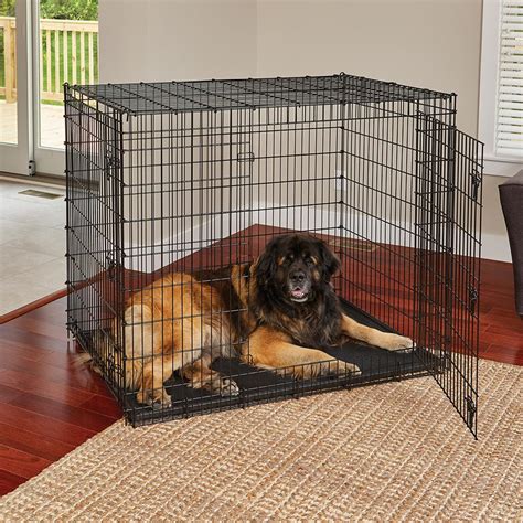 Amazon.com: "XXL" Dog Crate