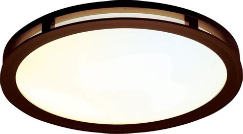 Amazon.com: 3 Light Flush Mount