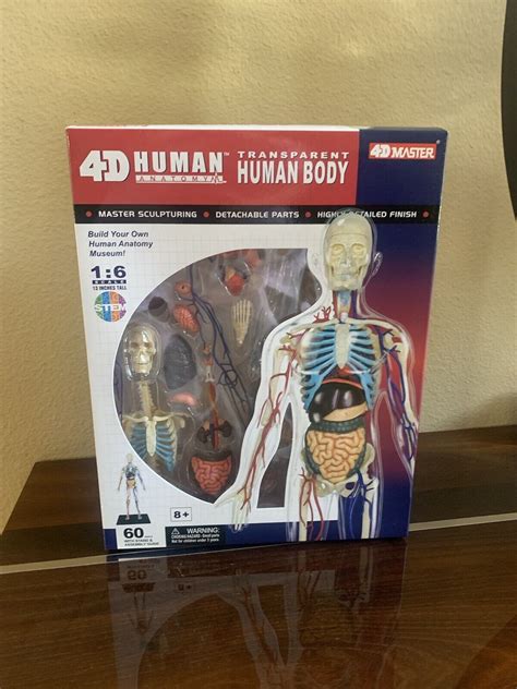 Amazon.com: 4d Human Anatomy Model