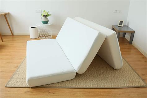 Amazon.com: 6 Inch Foam Mattress Twin