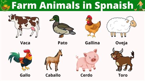 Amazon.com: Animal Farm In Spanish