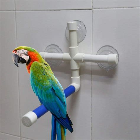 Amazon.com: Bird Shower Perch