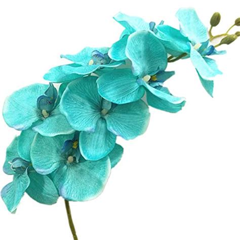 Amazon.com: Blue Silk Orchids