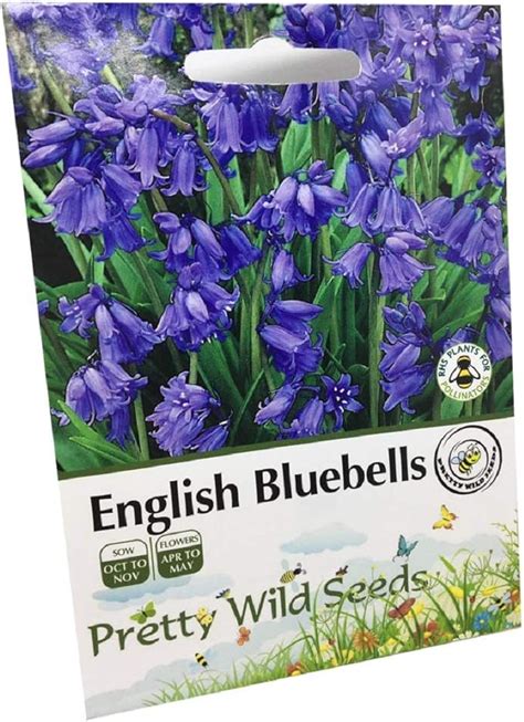 Amazon.com: Bluebell Seeds