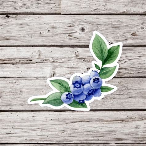 Amazon.com: Blueberry Stickers