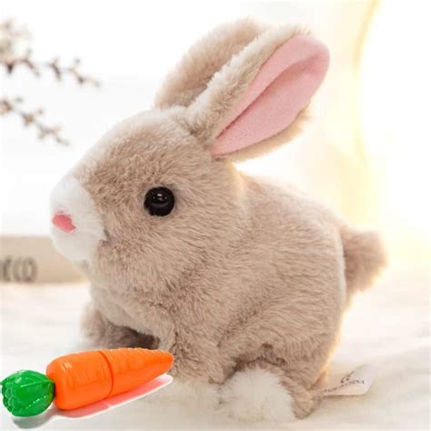 Amazon.com: Bunny