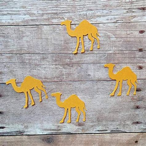 Amazon.com: Camel Party Decorations