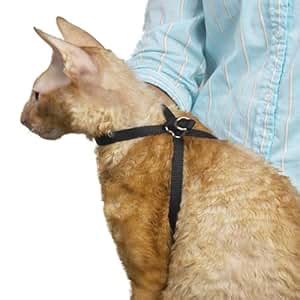 Amazon.com: Cat Grooming Harness