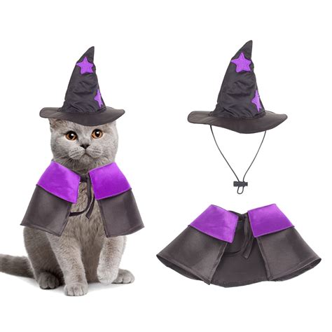 Amazon.com: Costumes For Cats