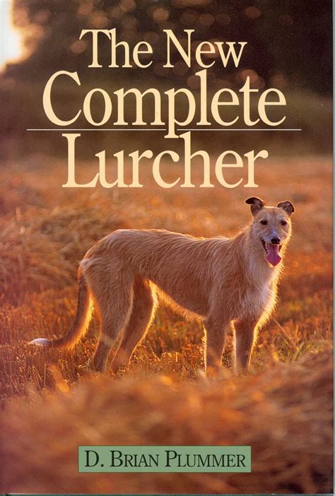 Amazon.com: David Brian Plummer: Books