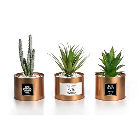 Amazon.com: Desk Plant