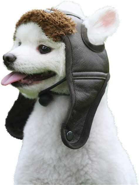 Amazon.com: Dog Aviator Hat