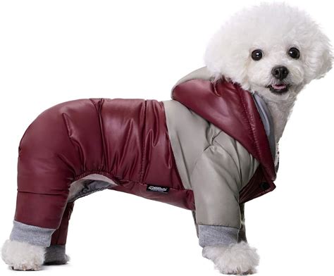 Amazon.com: Dog Coats With Legs