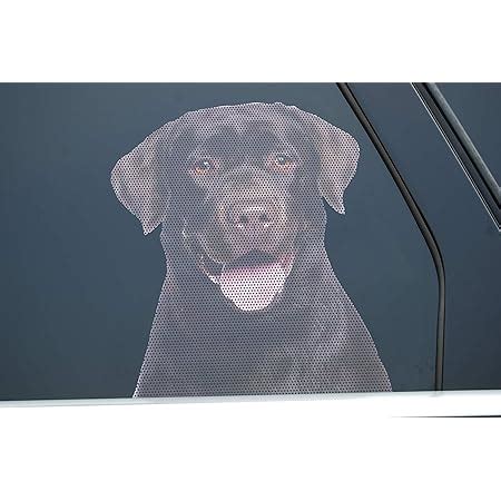 Amazon.com: Dog Decals