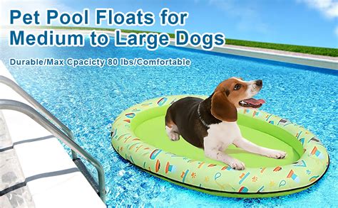 Amazon.com: Dog Float