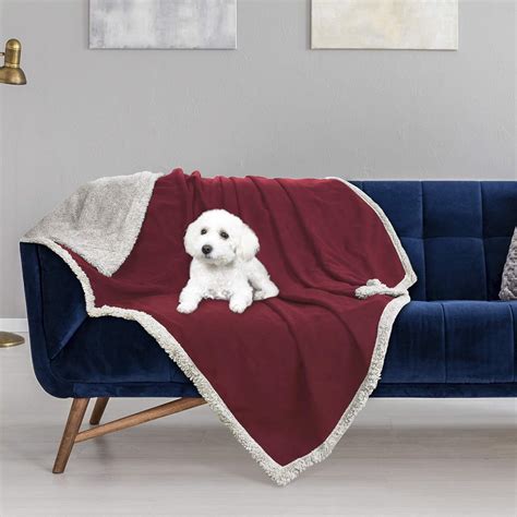 Amazon.com: Dog Paw Blanket