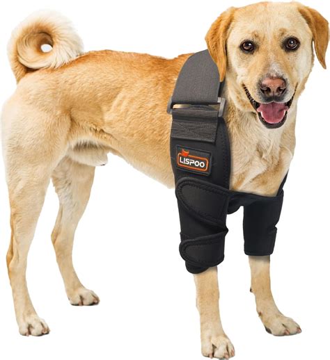 Amazon.com: Dog Shoulder Brace