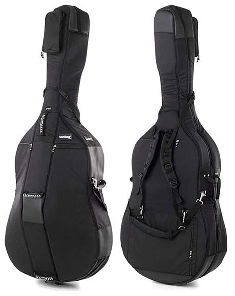 Amazon.com: Double Bass Bag