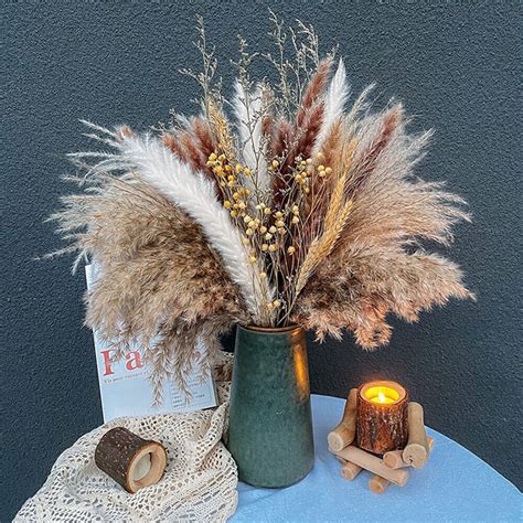 Amazon.com: Dried Pampas Grass Decor 21PCS, Dried Flowers …