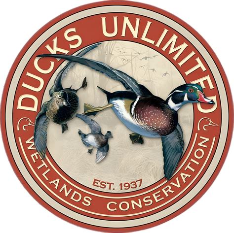 Amazon.com: Ducks Unlimited Car Decal