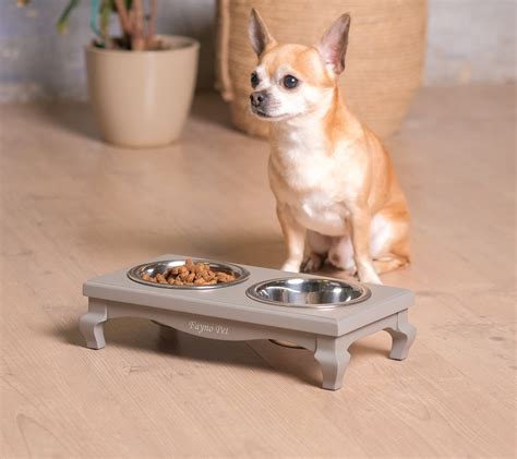 Amazon.com: Elevated Dog Bowls For Small Dogs