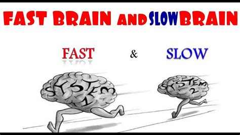 Amazon.com: Fast Brain Slow Brain